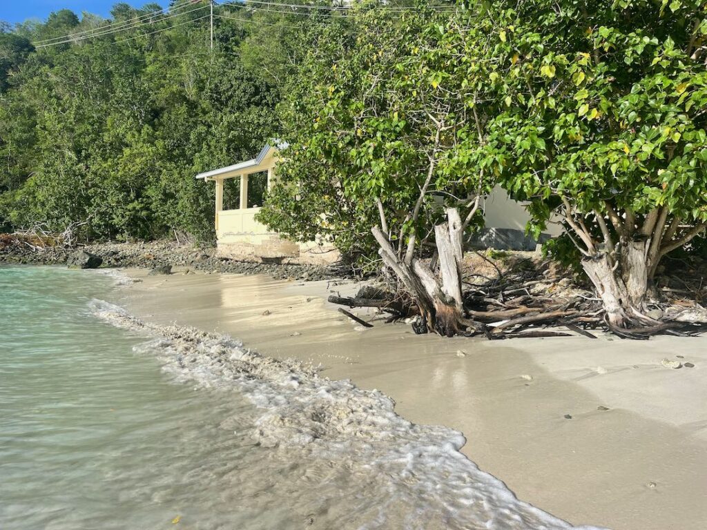 Robert Oppenheimer's Life on St. John