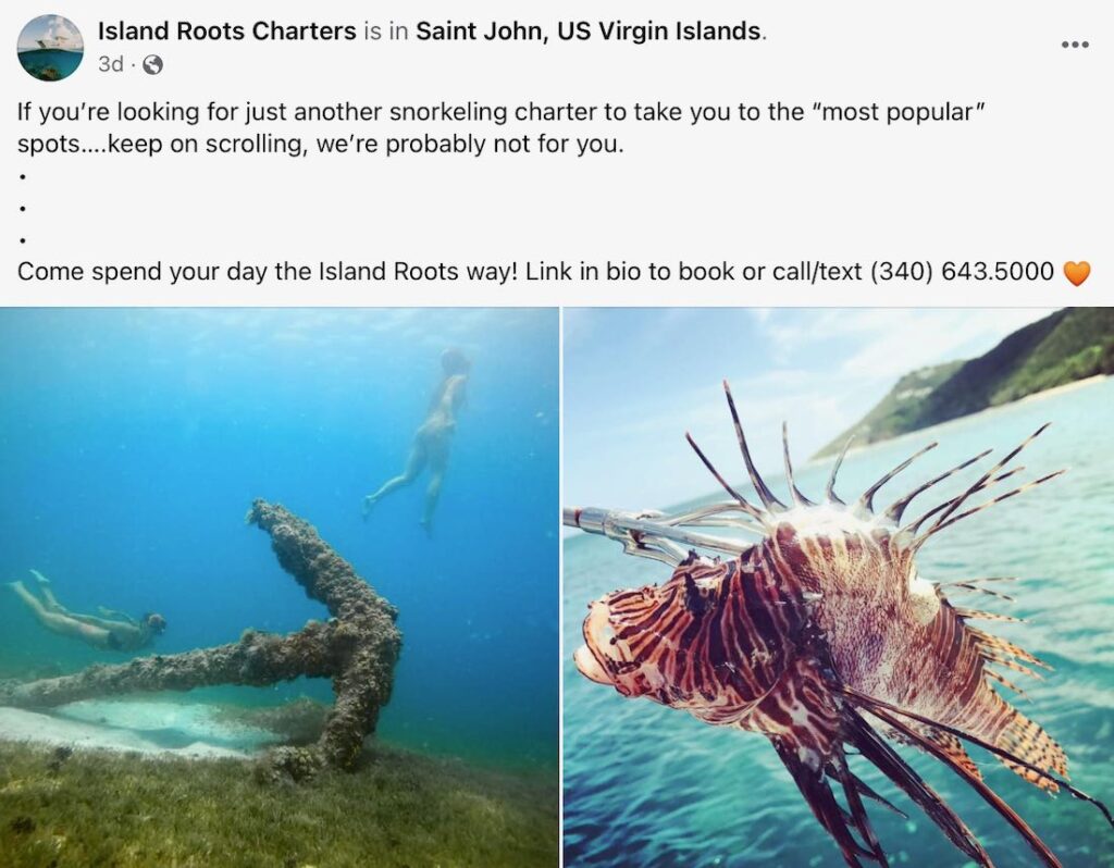 Island Roots Boat Charters: New Offerings & Discounted Rates ...