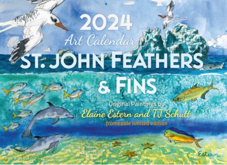 Three New 2024 St. John Calendars Now Available! Explore STJ