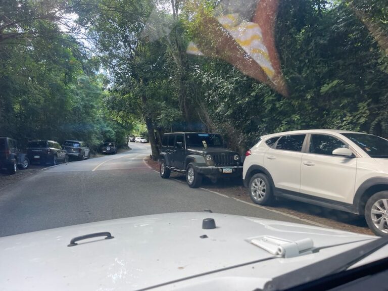 Lots of Parking Tickets at the Beaches Here's Where to Park